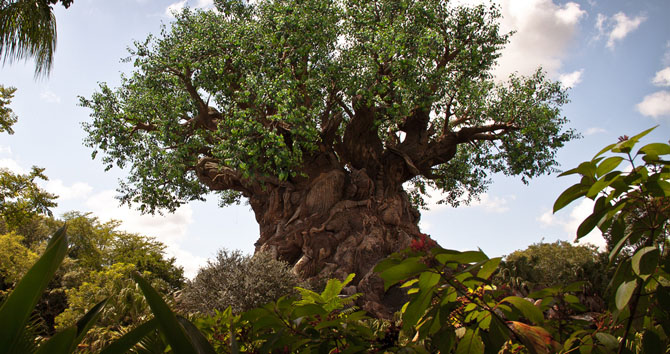 Древо жизни — символ парка. Высота — 44 м, ширина — 15 м.