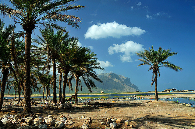 8-Пейзажи острова Сокотра. Йемен