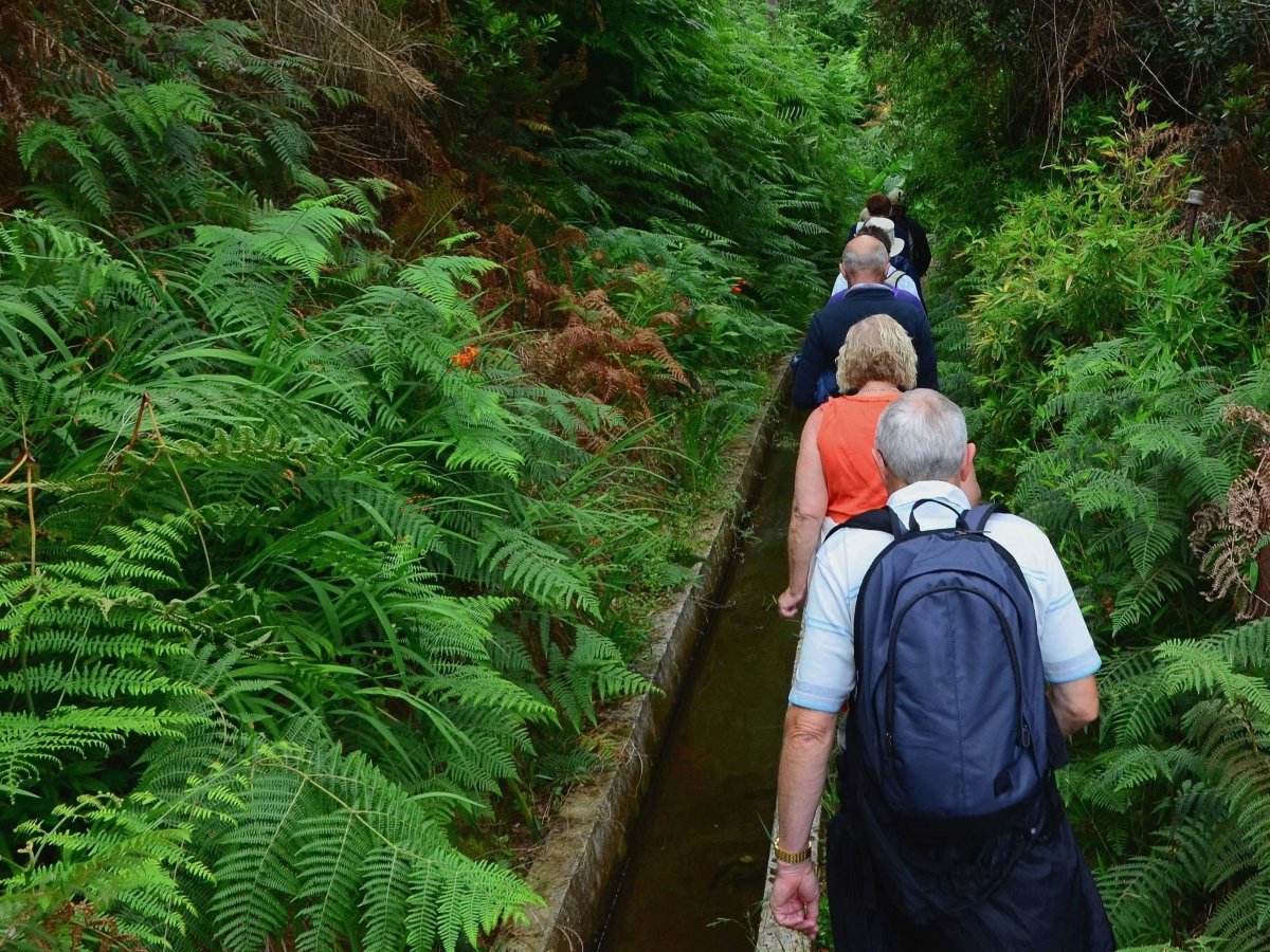 madeira-is-full-of-levadas-a-system-of-stone-irrigation-channels-that-criss-cross-the-island-and-transport-water-these-levadas-also-make-for-great-hiking-trails
