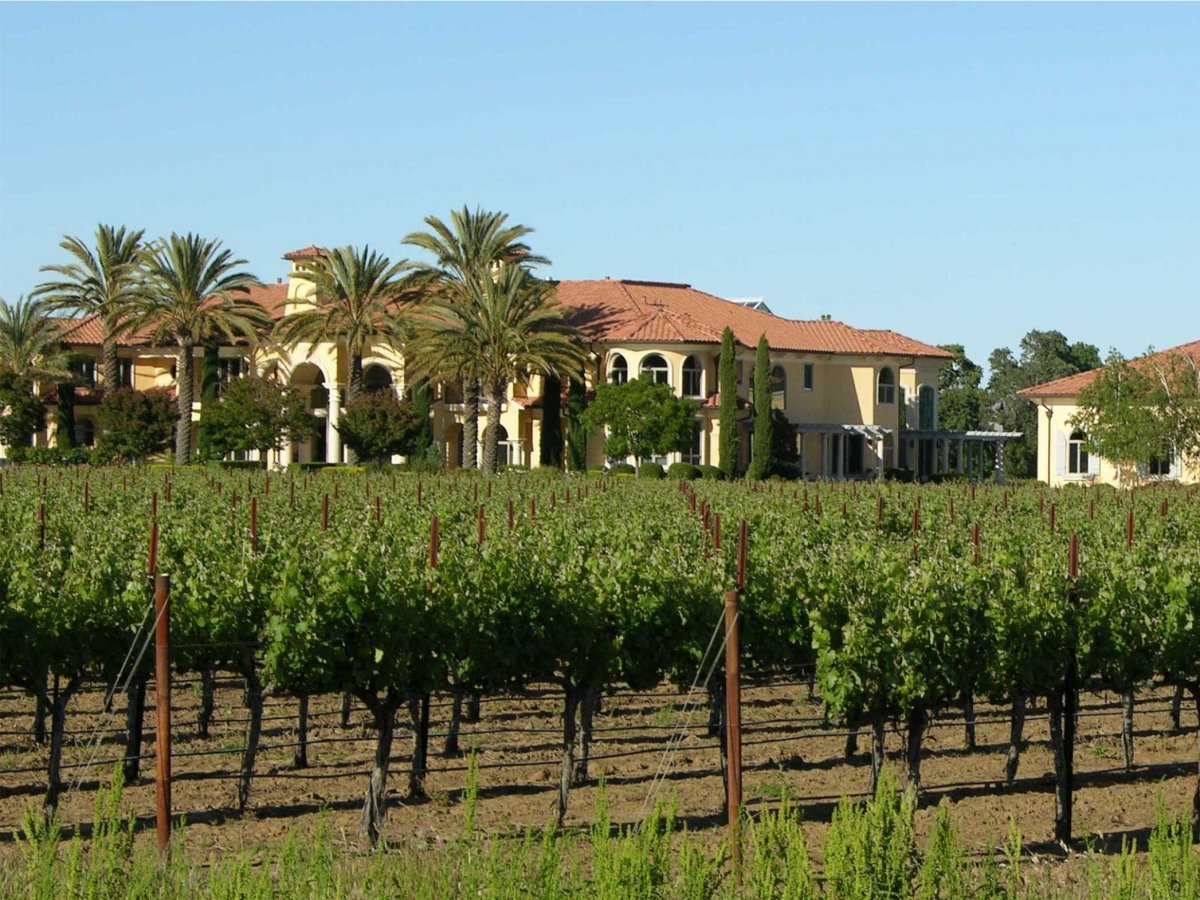 the-63-acres-of-vineyards-are-tended-by-a-caretaker-who-also-works-for-the-robert-mondavi-winery
