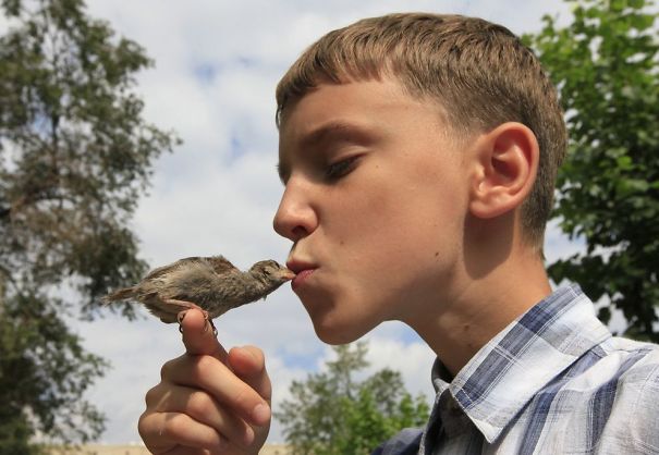 Veligurov kisses Abi, a wild sparrow, during a walk near his grandmother's house in the town of Minusinsk