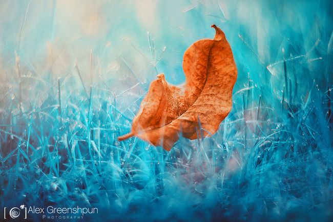 autumn-photography-alex-greenshpun-12_result