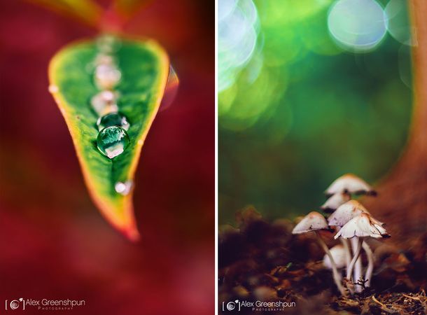 autumn-photography-alex-greenshpun-24_result