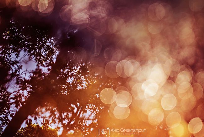 autumn-photography-alex-greenshpun-4_result