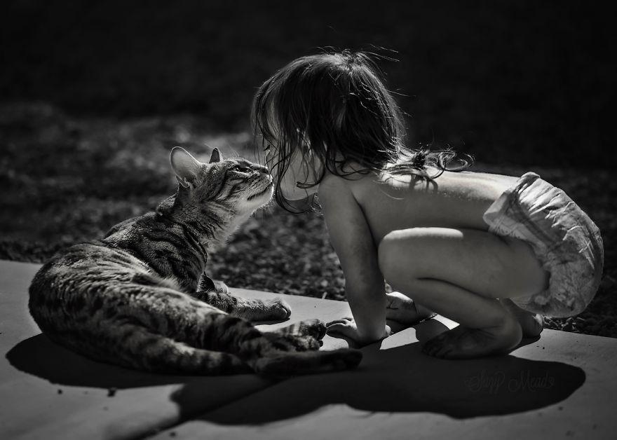 children-cat-playing-photography-12_result