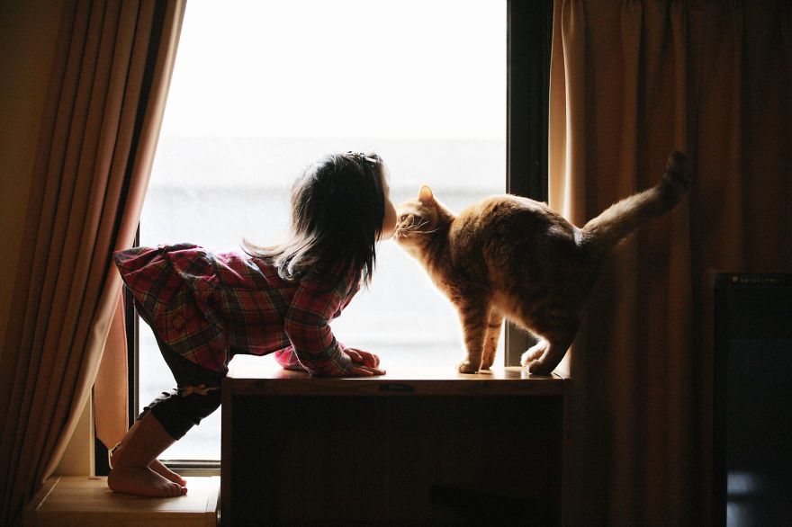 children-cat-playing-photography-14_result