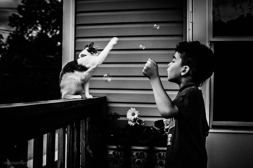 children-cat-playing-photography-15_result