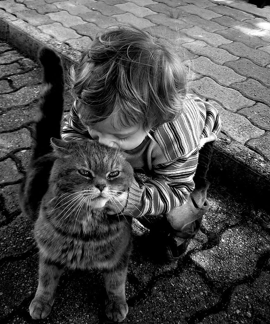 children-cat-playing-photography-19_result