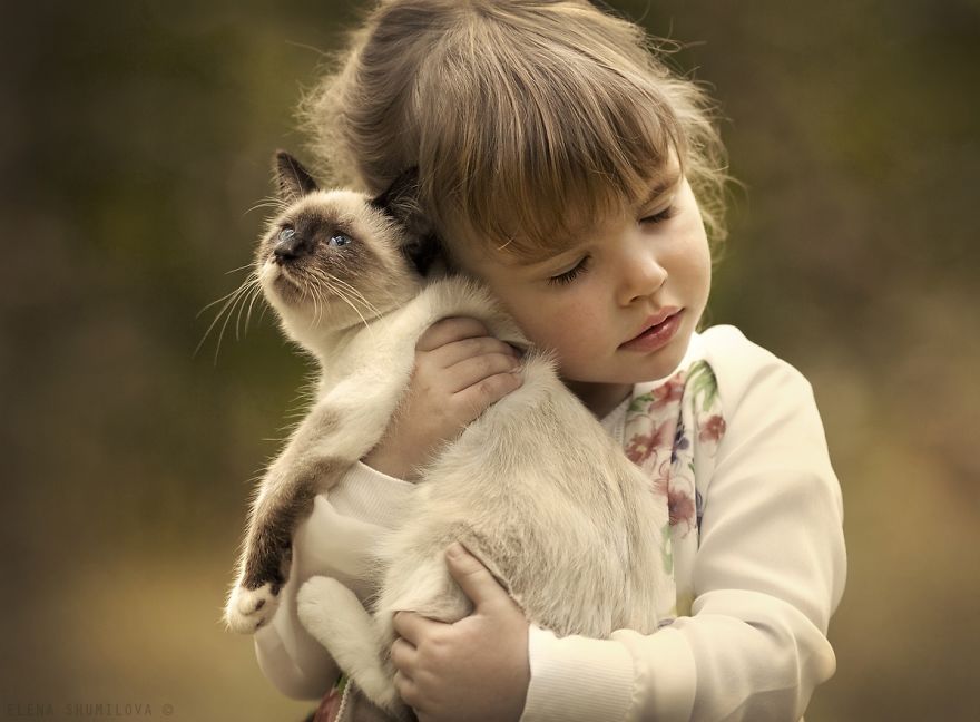 children-cat-playing-photography-9_result