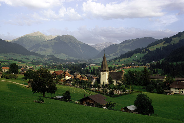 schweicaria