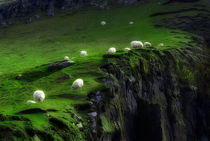 sheep-herds-around-the-world-15_result