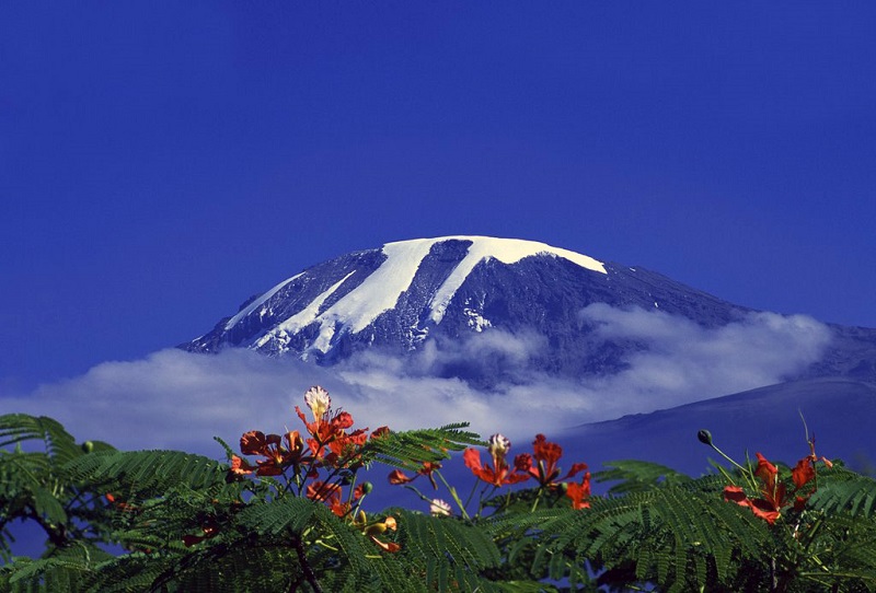 Красивое фото горы Килиманджаро