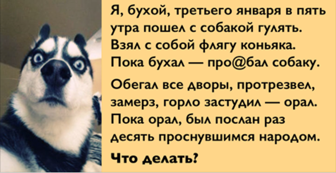 Во сколько утром гулять с собакой. Я бухой, третьего января в пять утра пошёл с собакой гулять. Гулять с собакой утром. Я бухой третьего января. Статусы про прогулку с собакой.